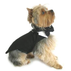 classic-dog-tuxedo-set-with-tails-9969-300x300 Black Dog Harness Tuxedo w/ Tails, Bow Tie, and Cotton Collar