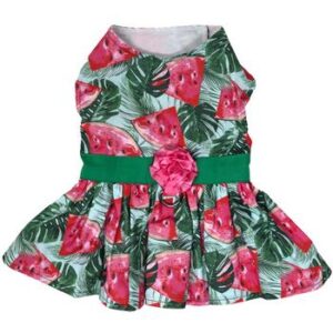 juicy-watermelon-dog-dress-with-matching-leash-8830-300x300 Watermelon Dog Dress with Matching Leash