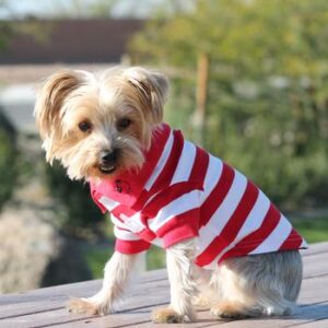 striped-dog-polos-flame-scarlet-red-white-2848-300x300 Polos Striped