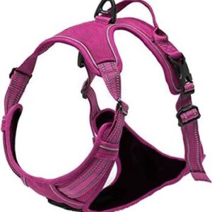 venture-paw-dog-harness-wild-raspberry-7868-300x300 Venture Paw Harness