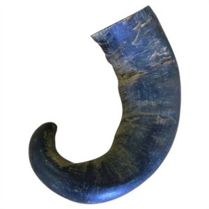 109916_Image.400x500-300x300 Water Buffalo Horn Dog Treat