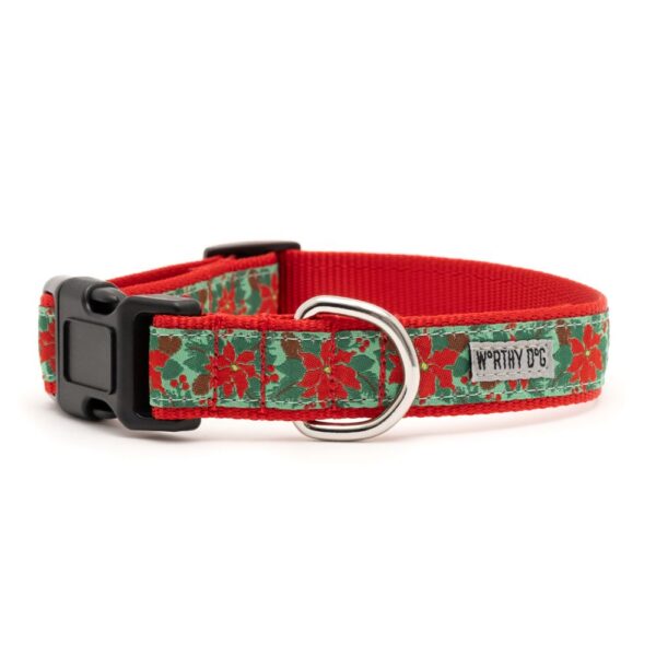 840350704834_2-600x600 Green Poinsettias Collar