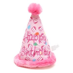 845851095511_1.400x500-300x300 Birthday Girl Hat Toy