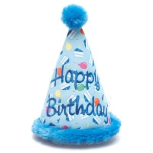 845851095528_1.400x500-300x300 Birthday Boy Hat Toy